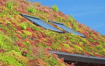 Sollers Dilwyn living roof systems