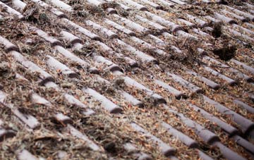 Sollers Dilwyn roof cleaning companies